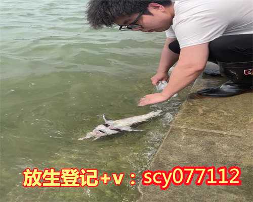 惠州公园放生甲鱼,惠州放生小组,惠州哪里适合放生青蛙