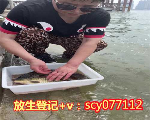 黑龙江放生需要报备，黑龙江放生海蛤蜊的功德，黑龙江2023年12月适合放生的日