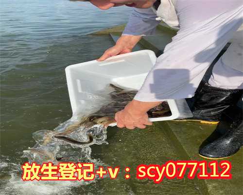 梅州放生巴西龟,梅州放生烧什么纸钱,梅州在哈尔滨市哪有放生鱼的店