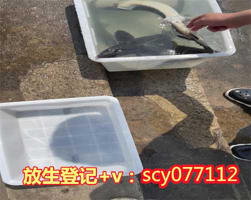 放生鱼买几条上海冬天怎么放生螃蟹【网上放生平台】