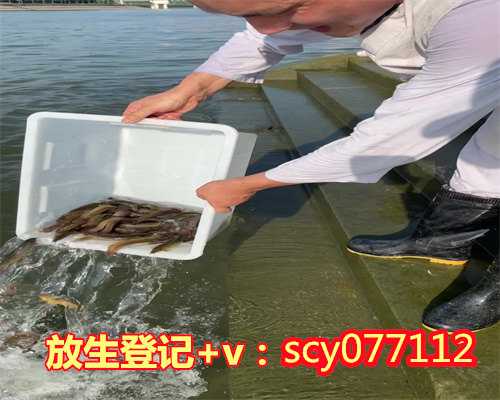 惠州为刚去世的老人放生放几条鱼（惠州2023年4月哪天放生好）