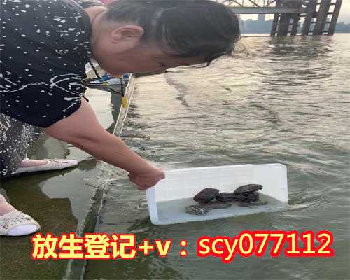 惠州放生情况汇表,惠州哪里适合放生鸟,放生什么鱼最有功德