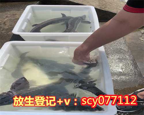 济南放生最佳地点，济南放生协会大明湖禁止投放食人鱼