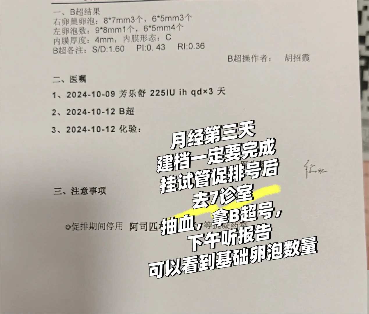 放生乌龟刻字可以用写字代替，冬季放生什么鱼好养活