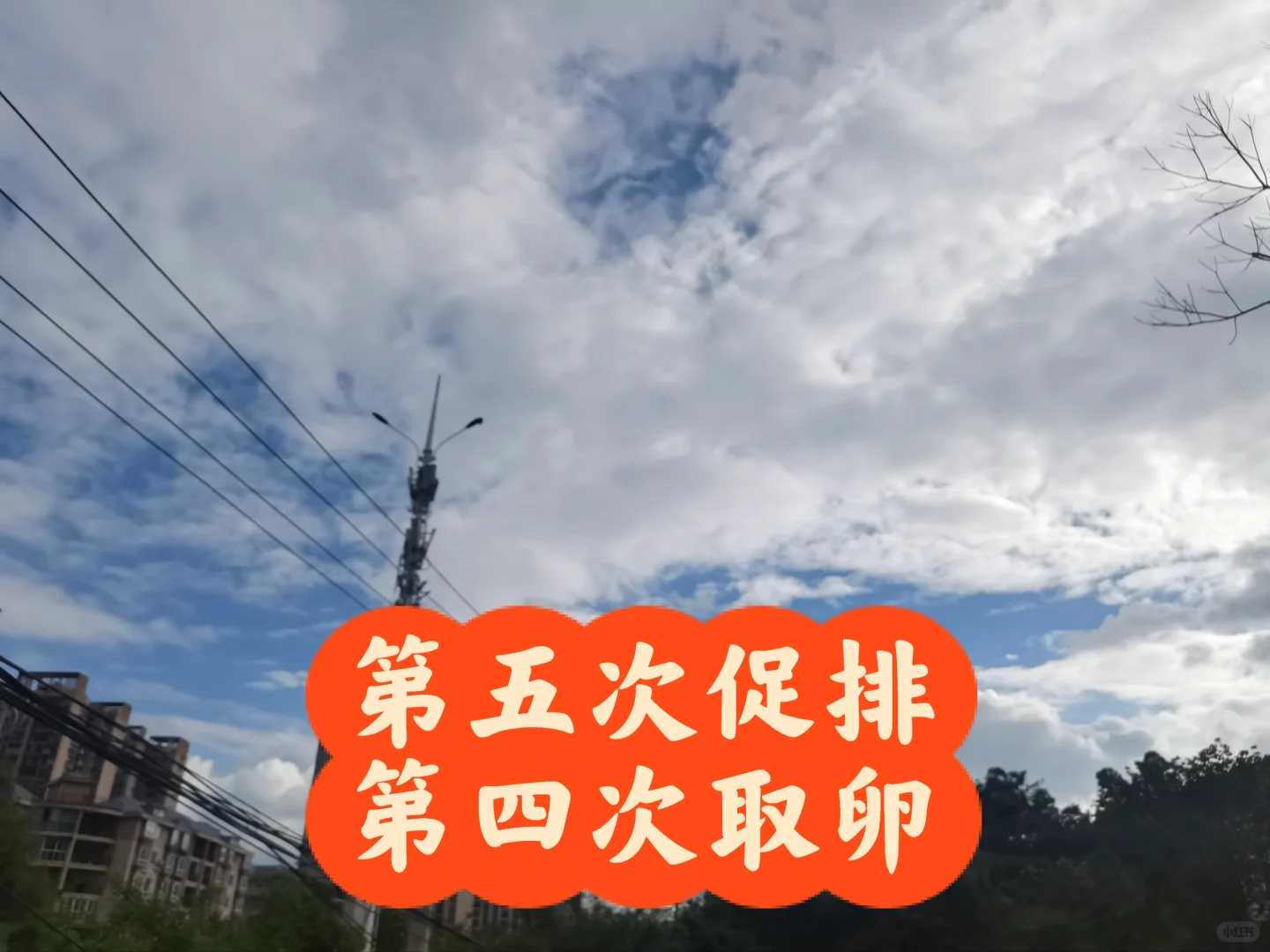 晚上能代放生什么时间好，晚上饮食宜忌：晚上吃什么水果好？