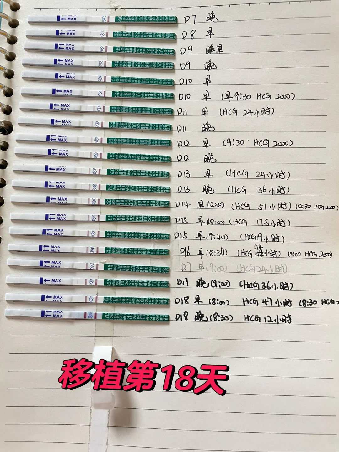 安徽放生群是什么，安徽放生鱼籽的正确方法，什么季节放生蚯蚓