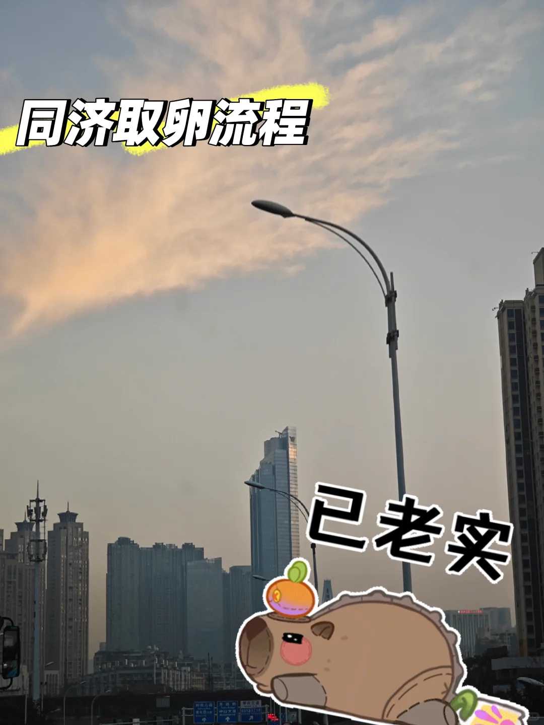 大同为胎儿放生，大同黄江芙蓉寺放生了龟，大同国家关于放生的规定