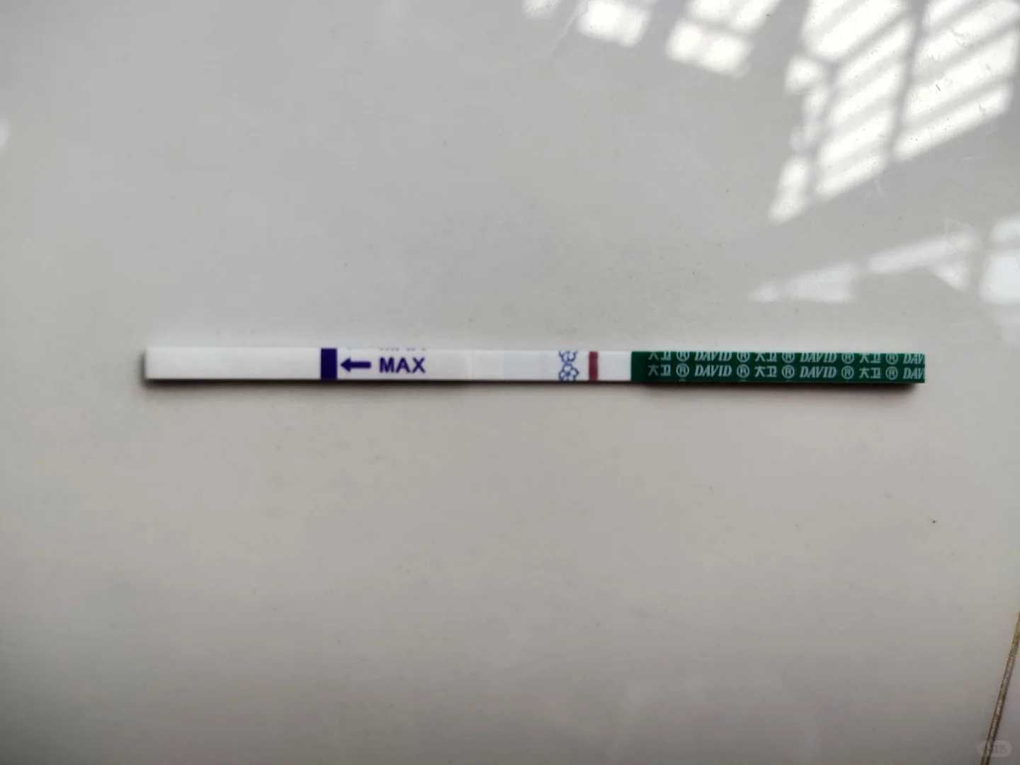 昆山放生蝉怎么放，昆山代放生鱼籽的感应，昆山放生一般放什么好