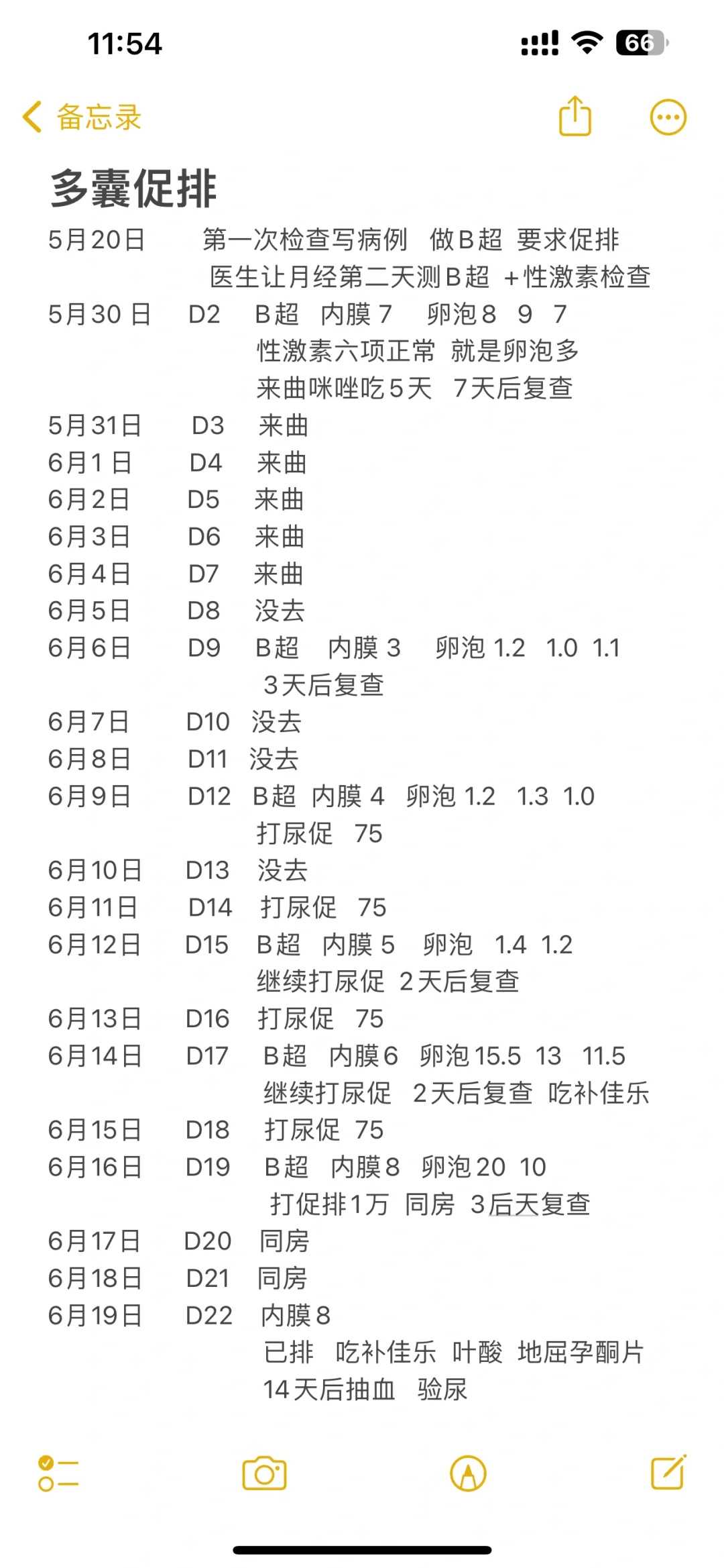 佛山兔子放生（佛山一元放生群）