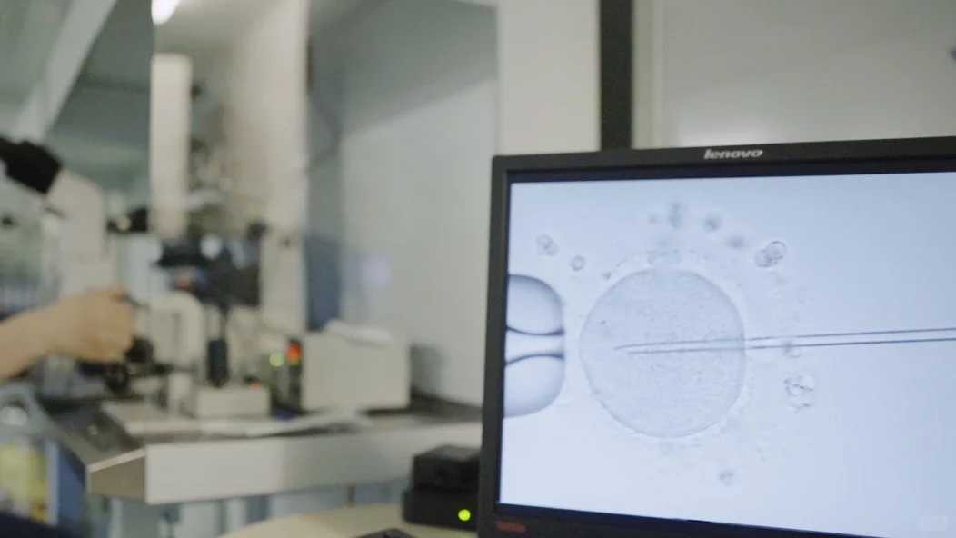 吃素就是放生，放生就是消业