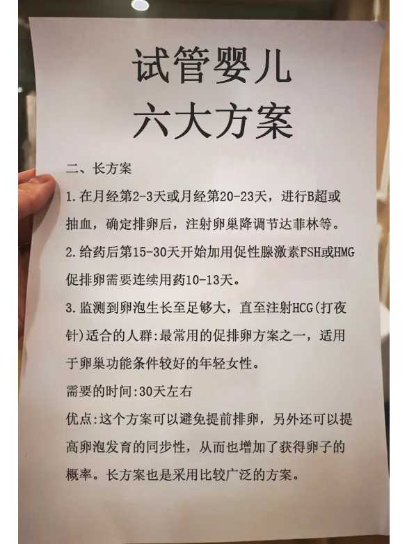 2023年11月放生日