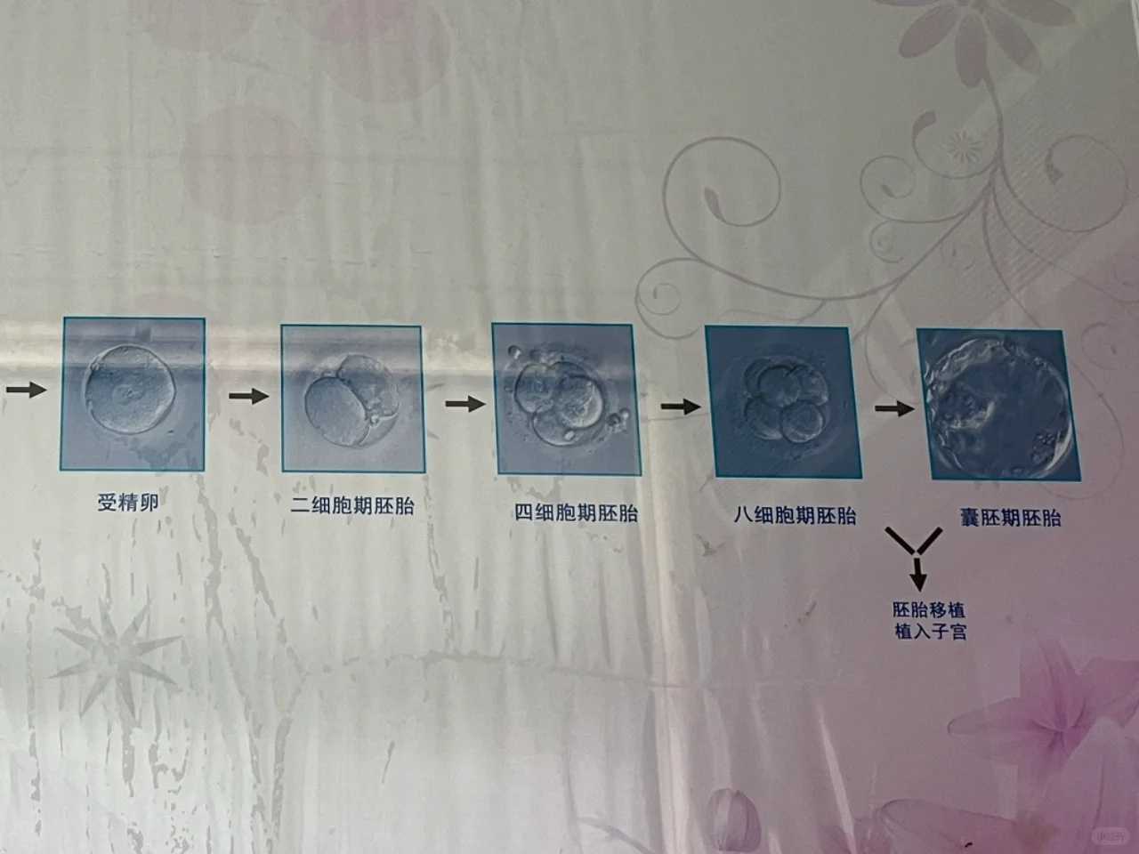 求好姻缘放生什么