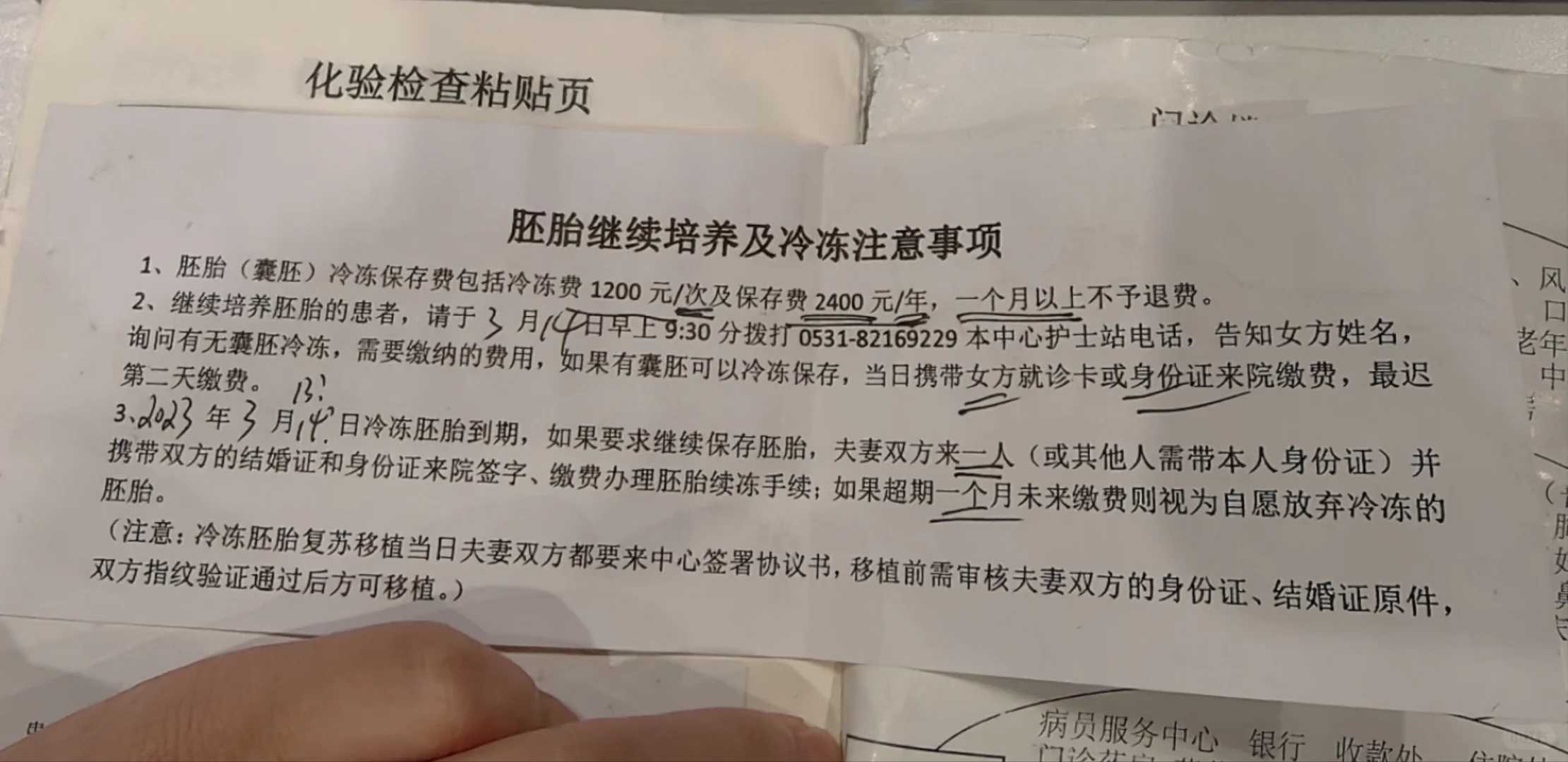 家养的小鸭子放生了能活吗，虾扎活佛：放生你的孩子吧