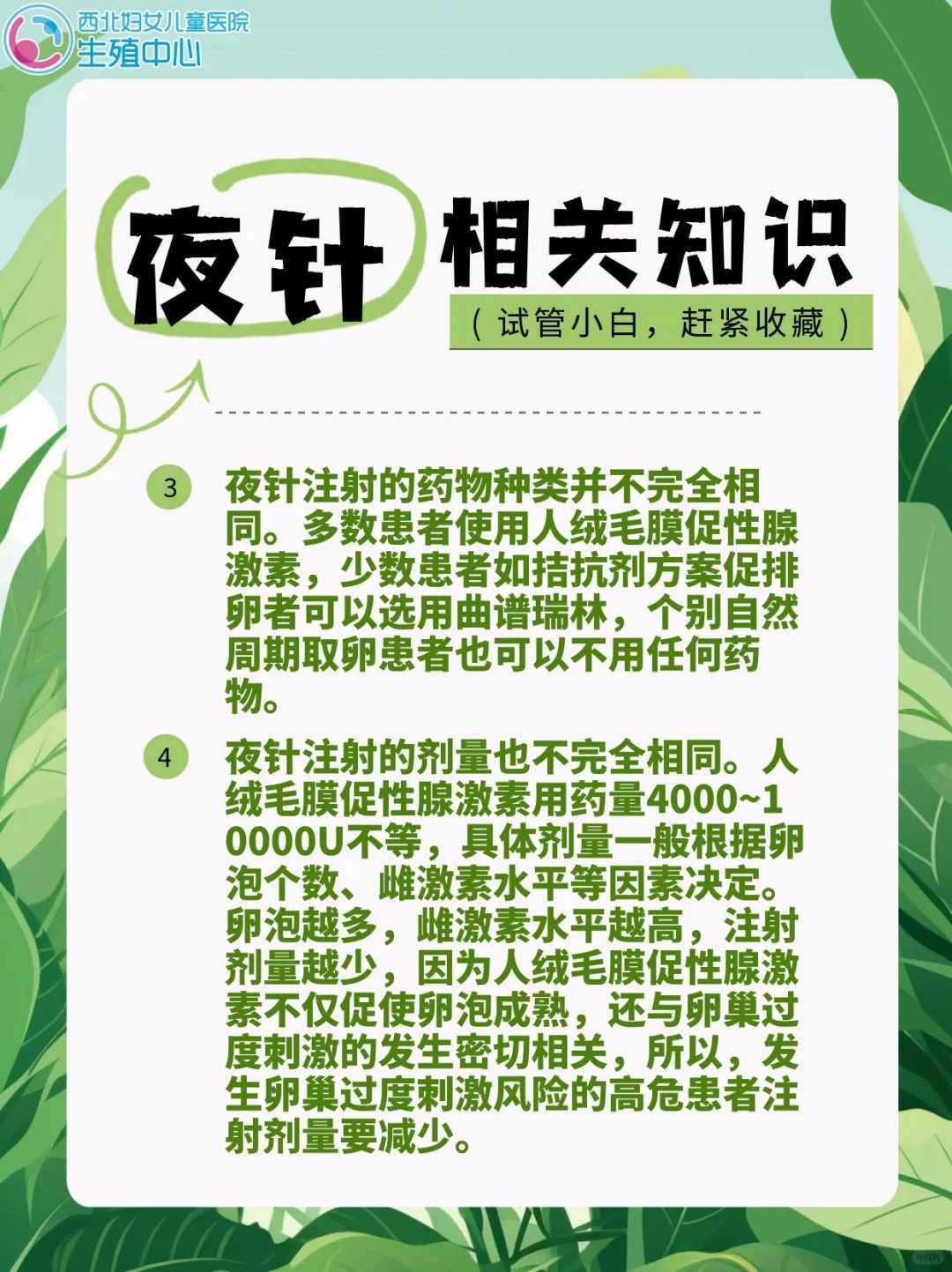 兔子可以代放生到公园吗