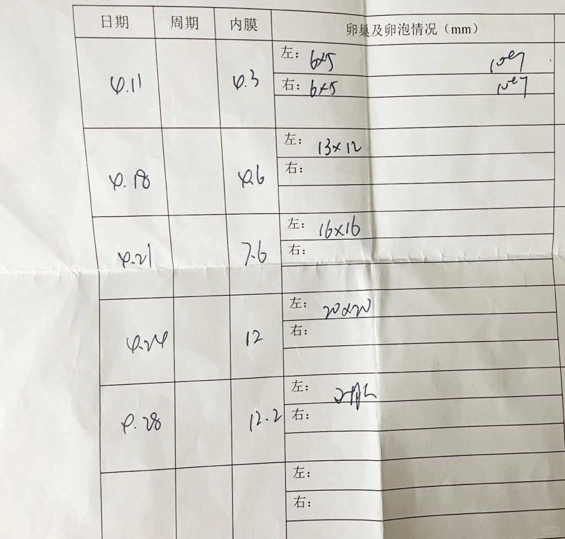 银川放生好地方,银川中元节代放生甲鱼,银川放生属于什么行为