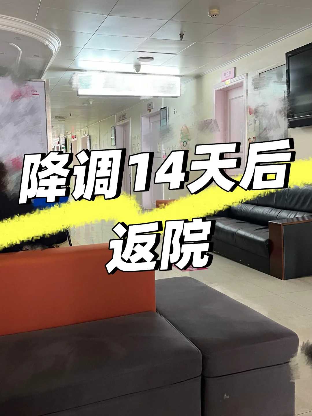 无锡,放生鲤鱼甲鱼鳝鱼泥鳅,12月份放生放什么最好