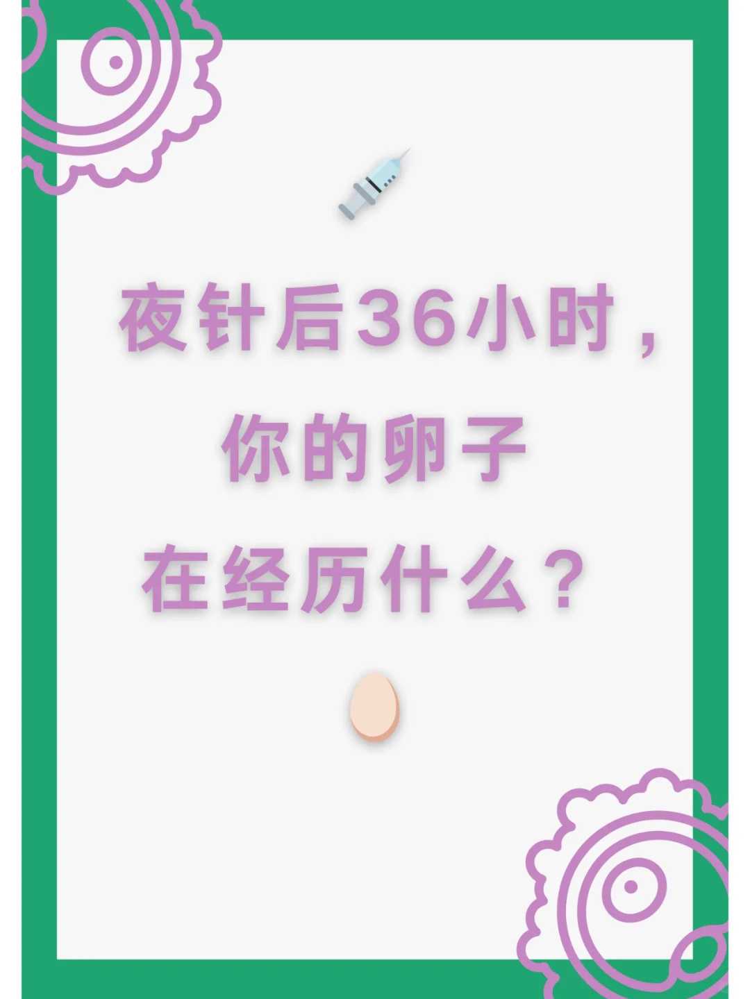 拉萨放生法会祈愿文，拉萨放生野生草龟好吗，放生讲究