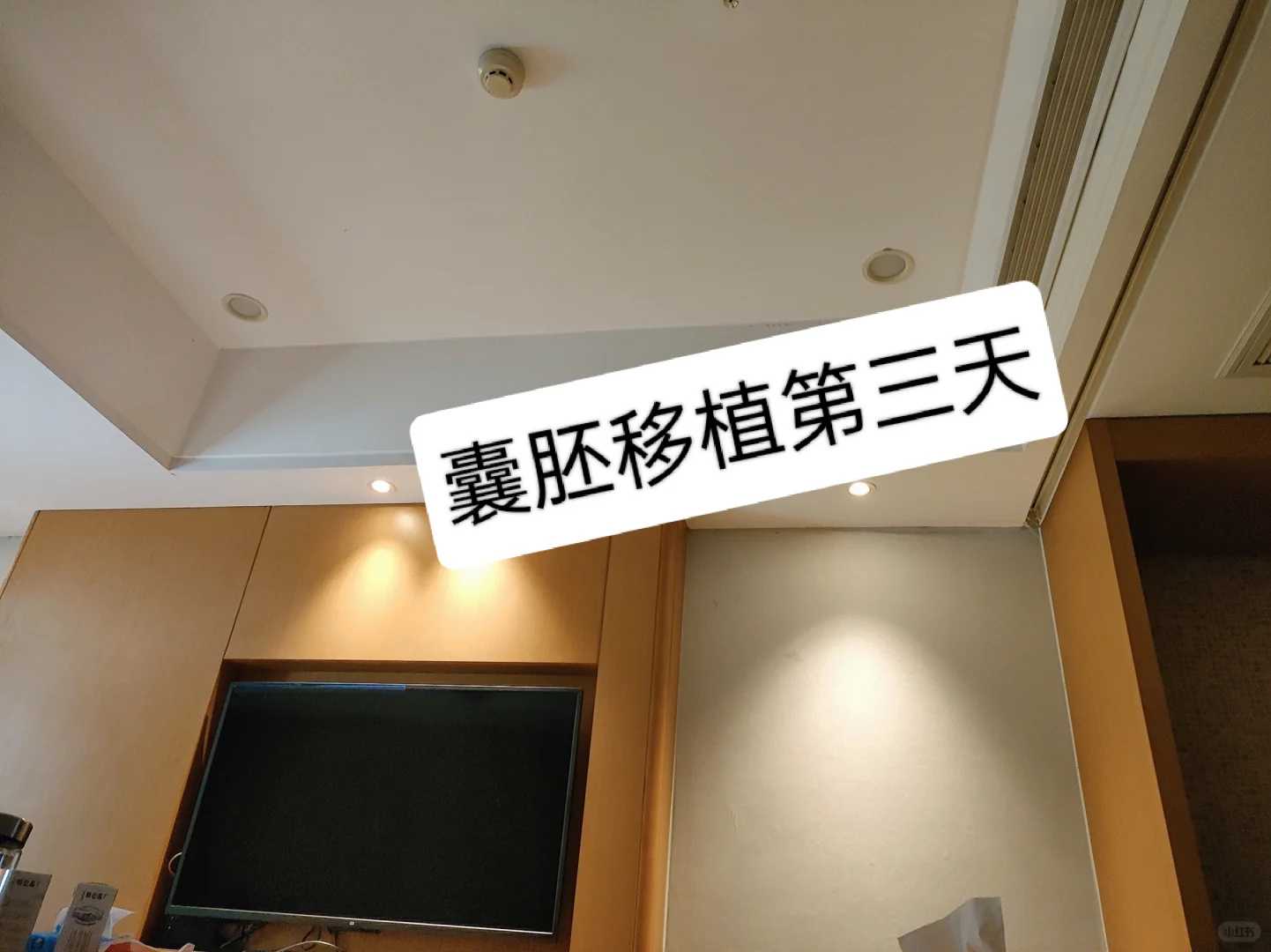 佛山兔子放生，放生什么动物最灵，佛山放生龙虾