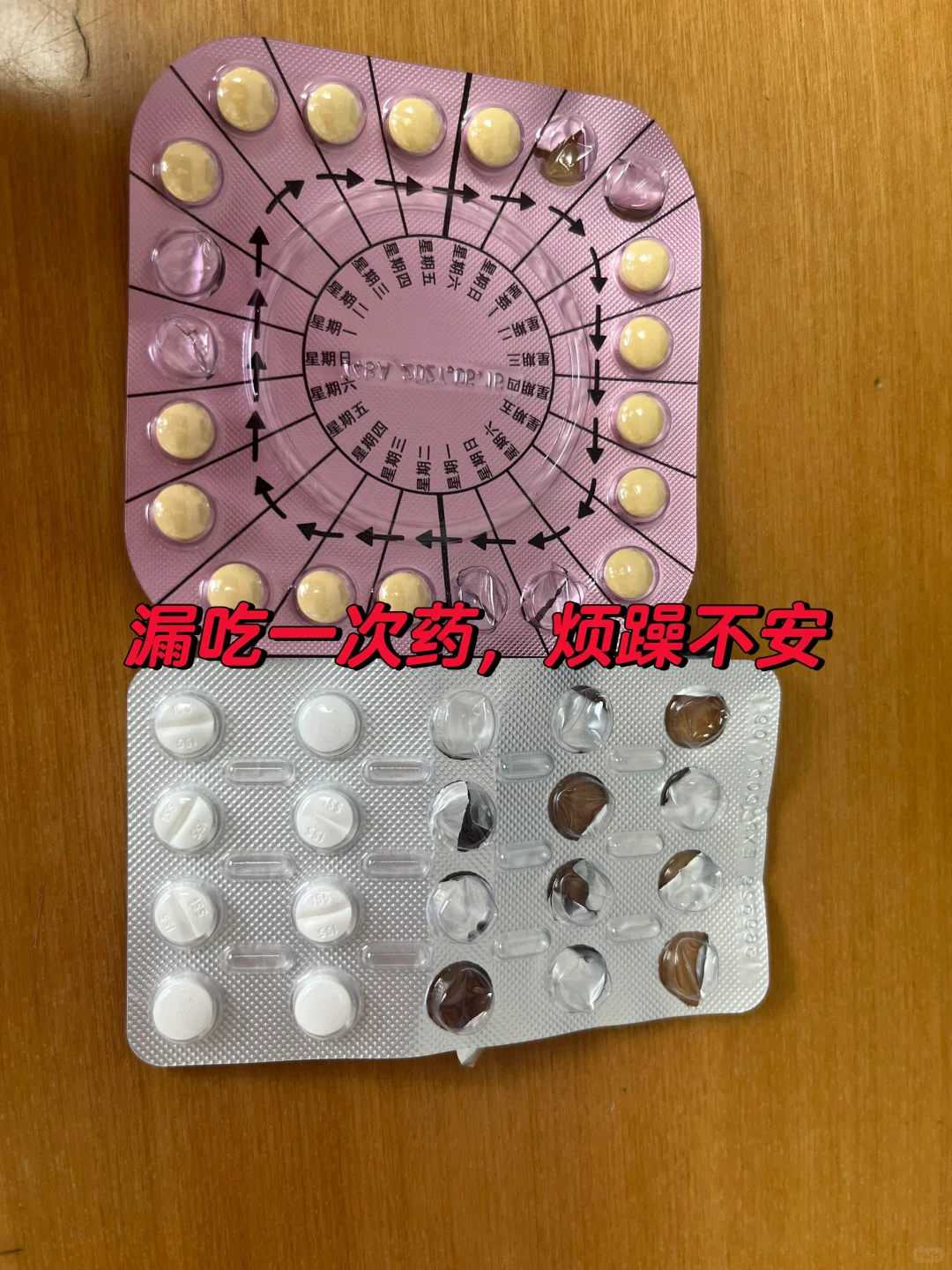 广州适合放生草龟的地方,家蛇放生了是好还是坏