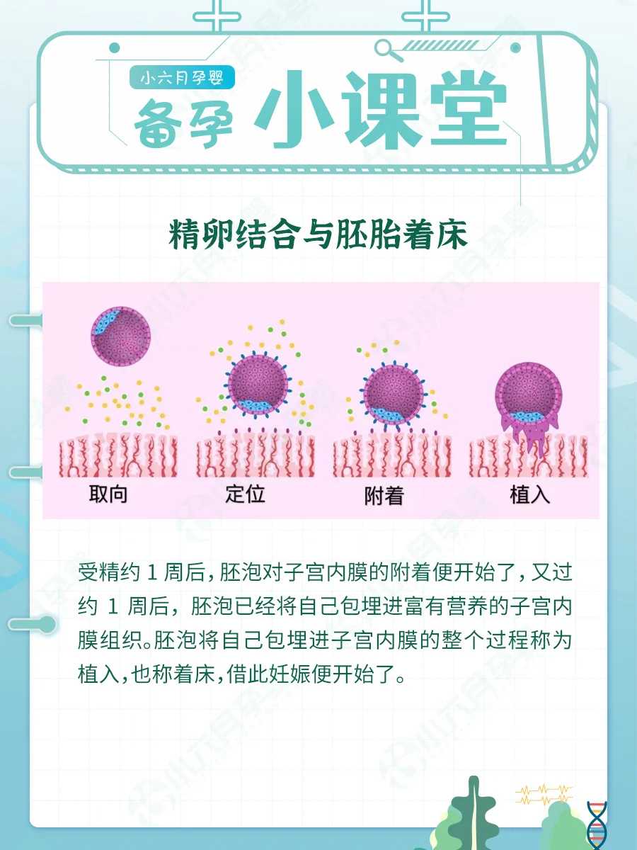 钓鱼放生湖州如何看待代放生【11月适合放生乌龟吗】