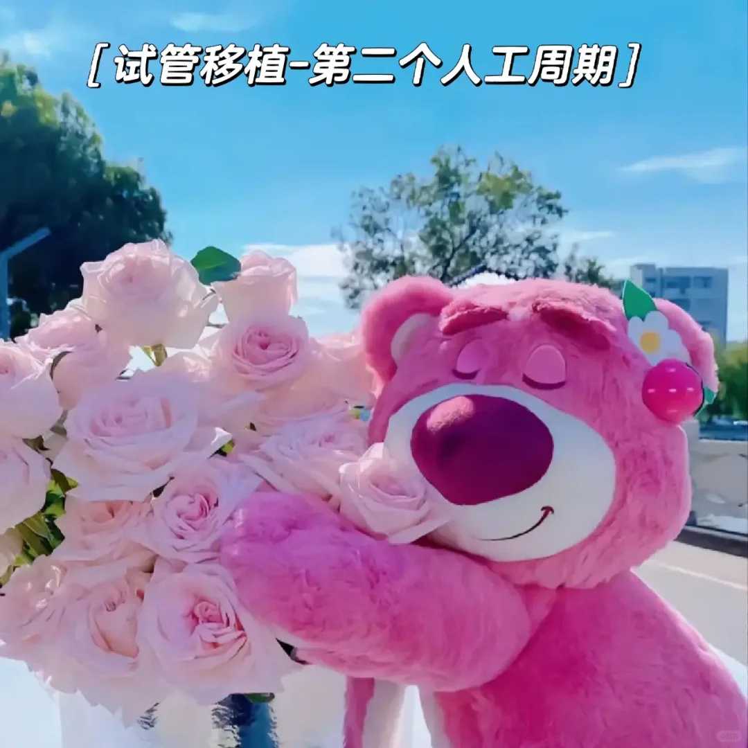 郑州放生能赎罪吗，郑州东营哪里可以放生乌龟，郑州放生如何念放生咒