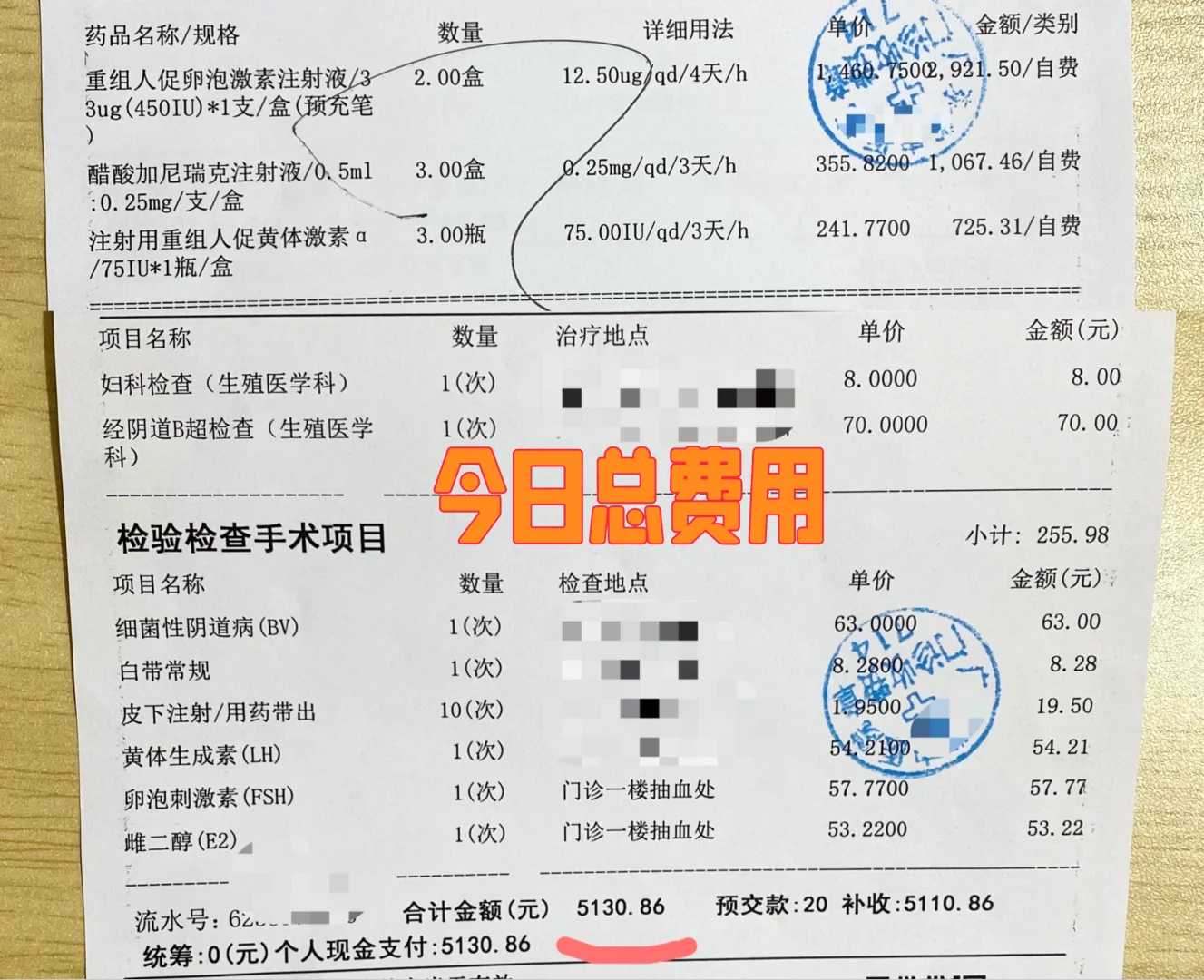 贵阳堕胎放生,贵阳刺猬放生又跑回来了,贵阳广州放生鱼的组织