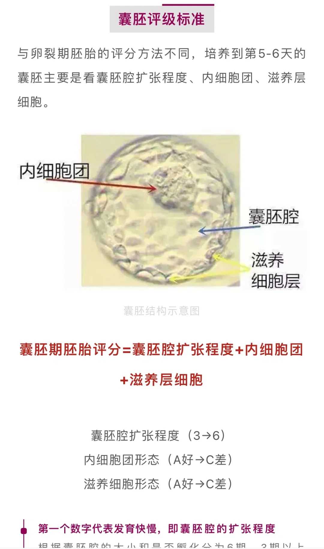 放生地点宿迁放生黑鱼真实感应【放生的黑鱼十种功德】