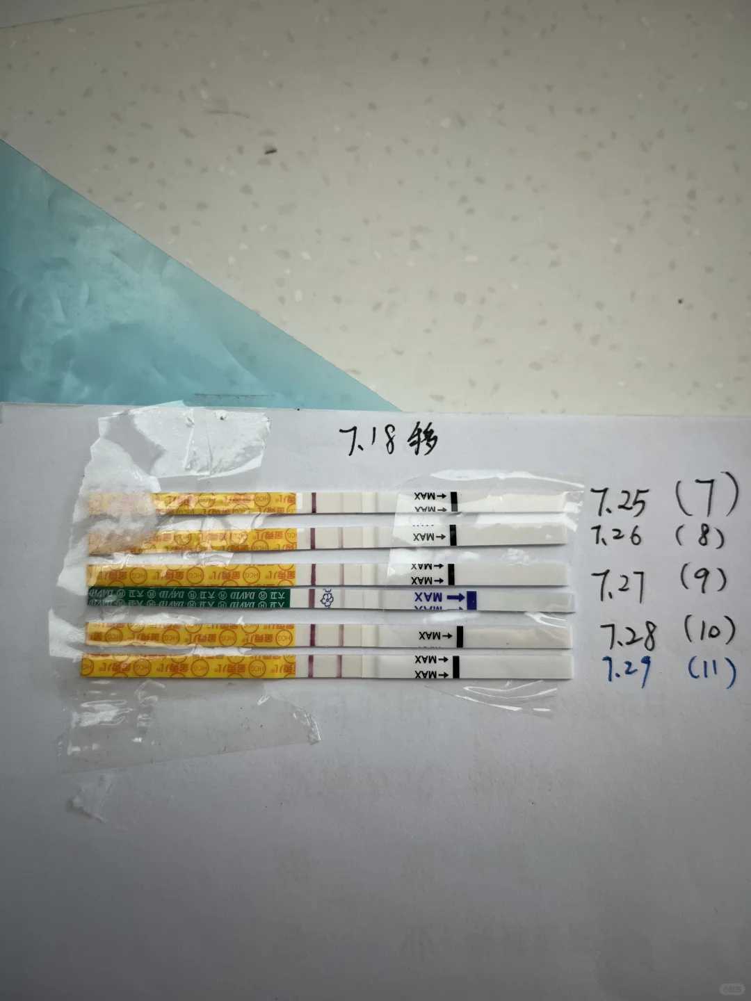 代放生龟背上写什么字，佛教产生的时代背景