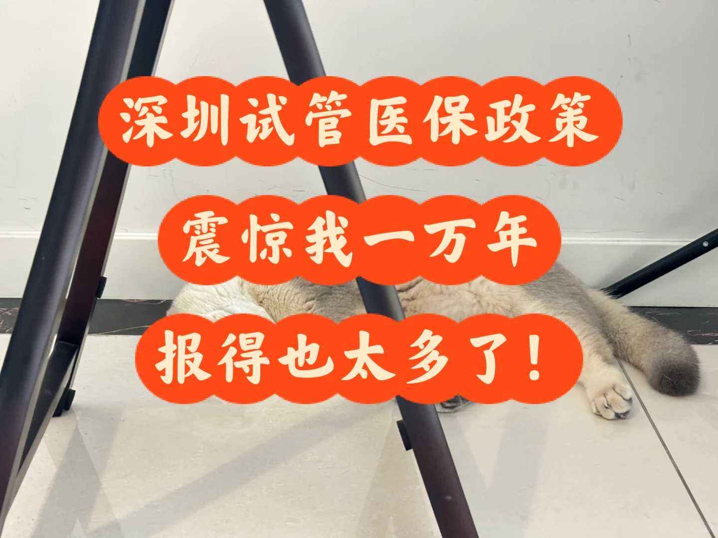 家养乌龟代放生风水禁忌，春季养生有哪些禁忌