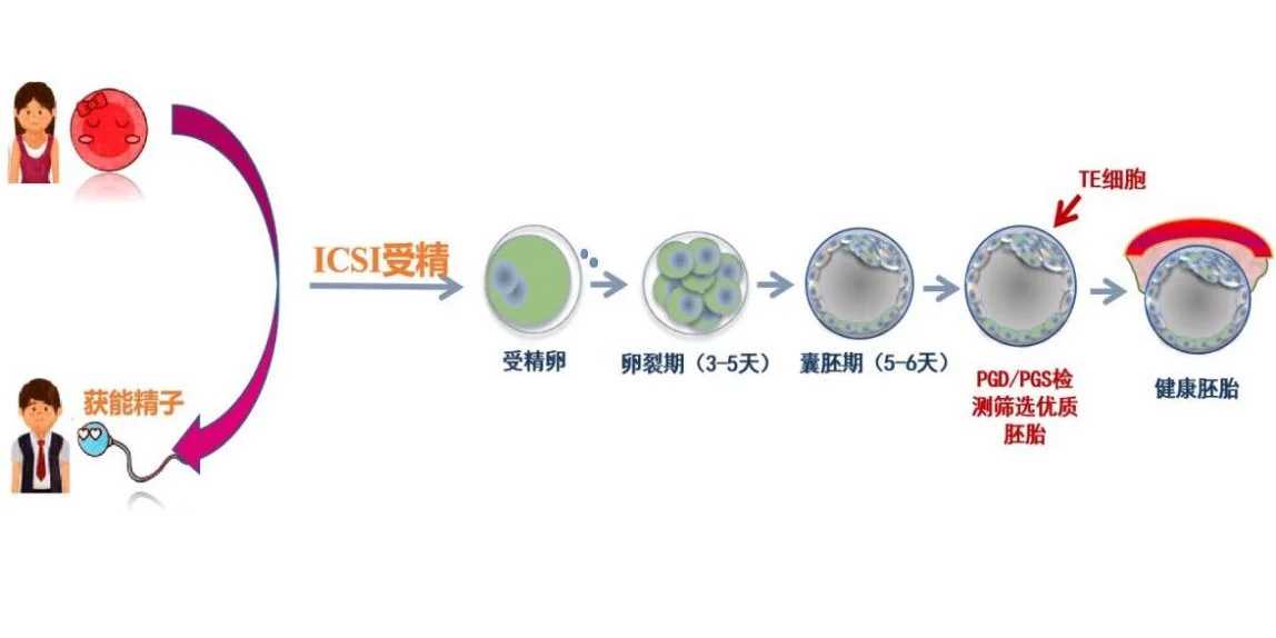 代放生数量有没有讲究