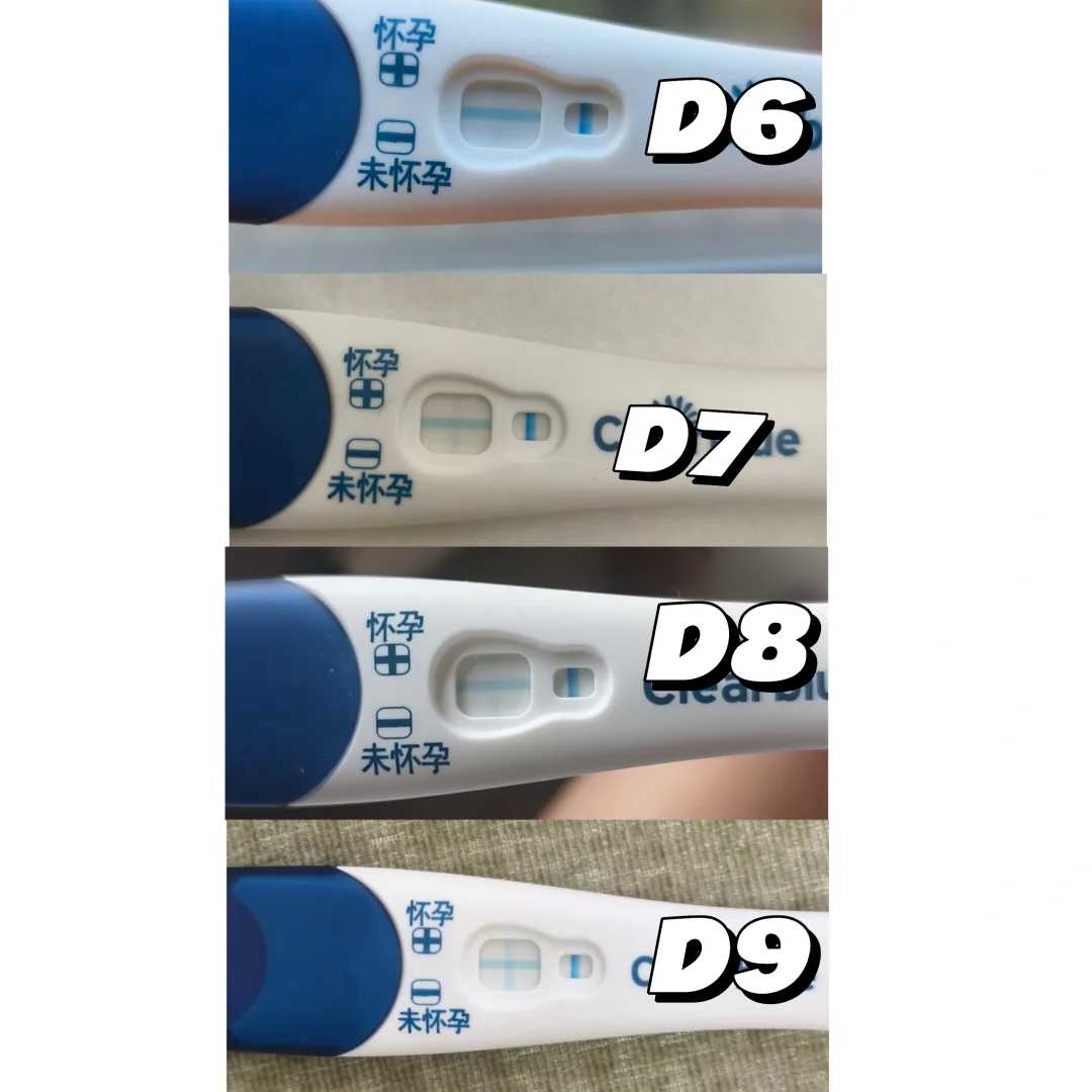 放生可以化解堕胎吗廊坊别人替代放生乌龟好不好【正月初一可以放生吗】