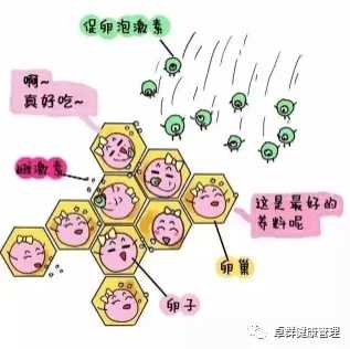 放生十大功德沧州刺猬不想养了可以放生吗【沧州周边放生最佳地点】