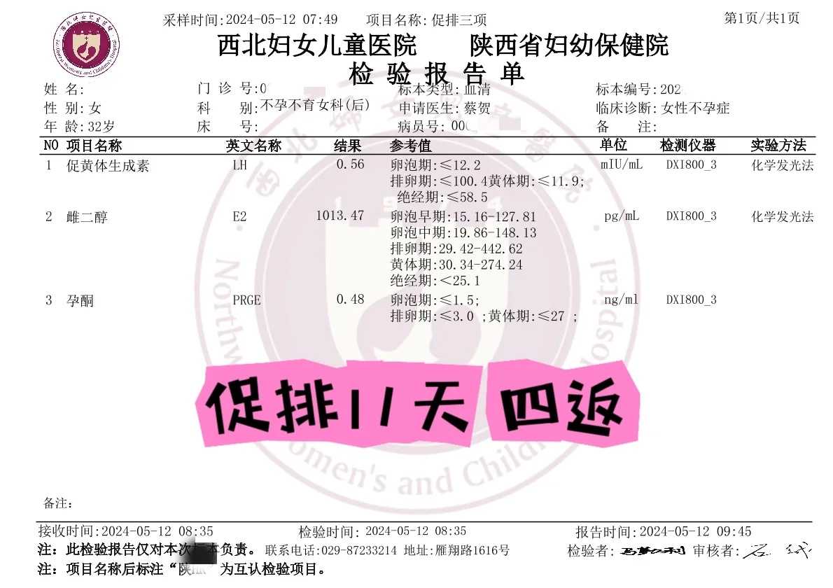 佛山放生最佳时间，佛山放生的鸽子能生存吗，小仓鼠放生在哪里