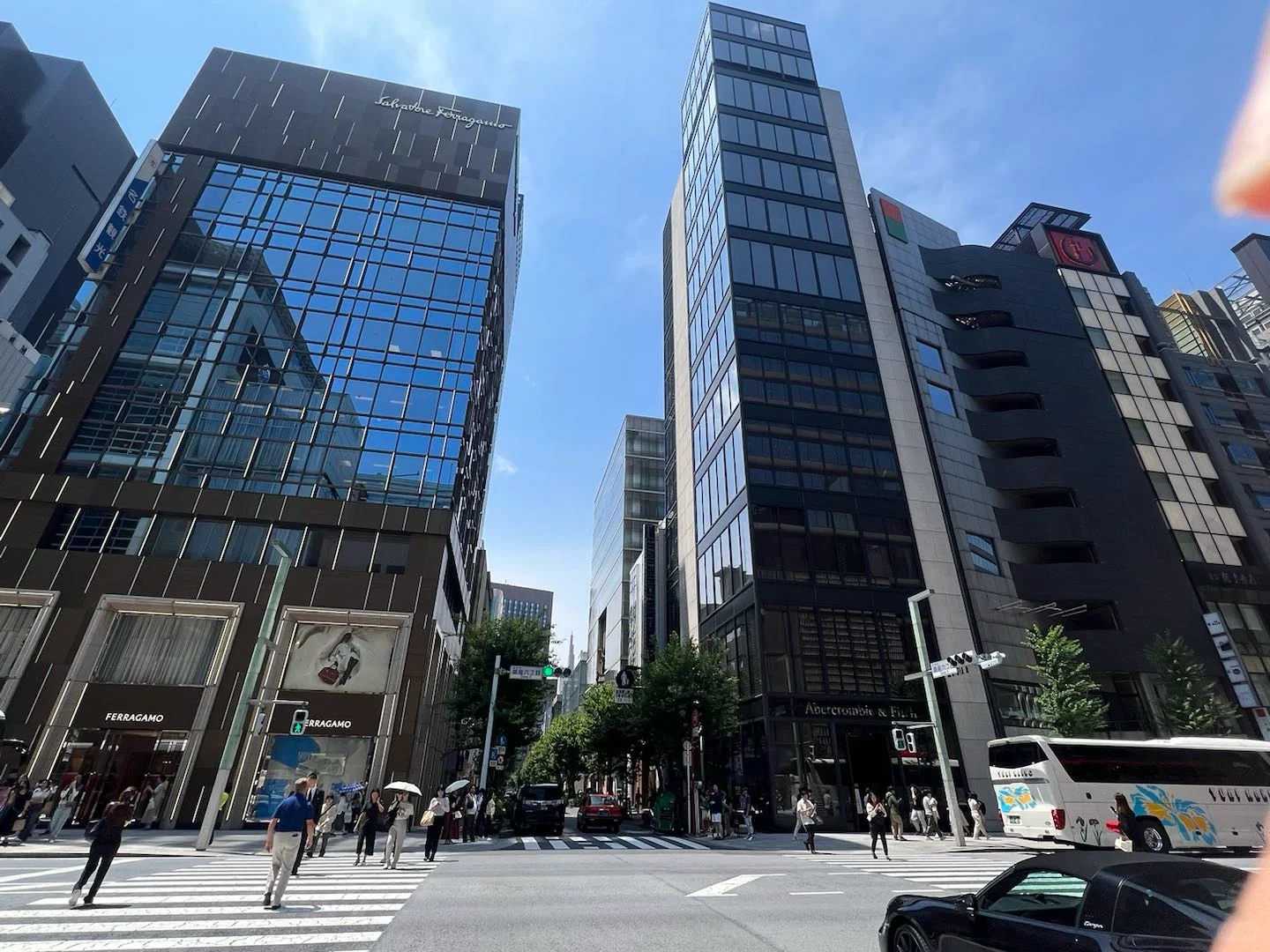 浙江做过流产需要放生吗，浙江附近放生的地方，放生乌龟的十大好处