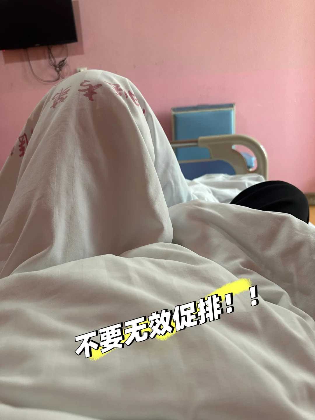 黑鱼 放生乌鲁木齐道教放生咒全文及拼音【每天放生鲫鱼】