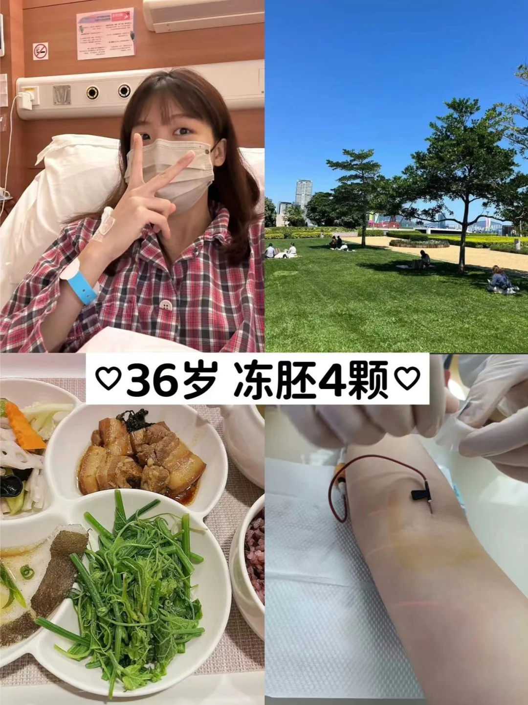 北京市放生协会官网，冬天放生什么鱼