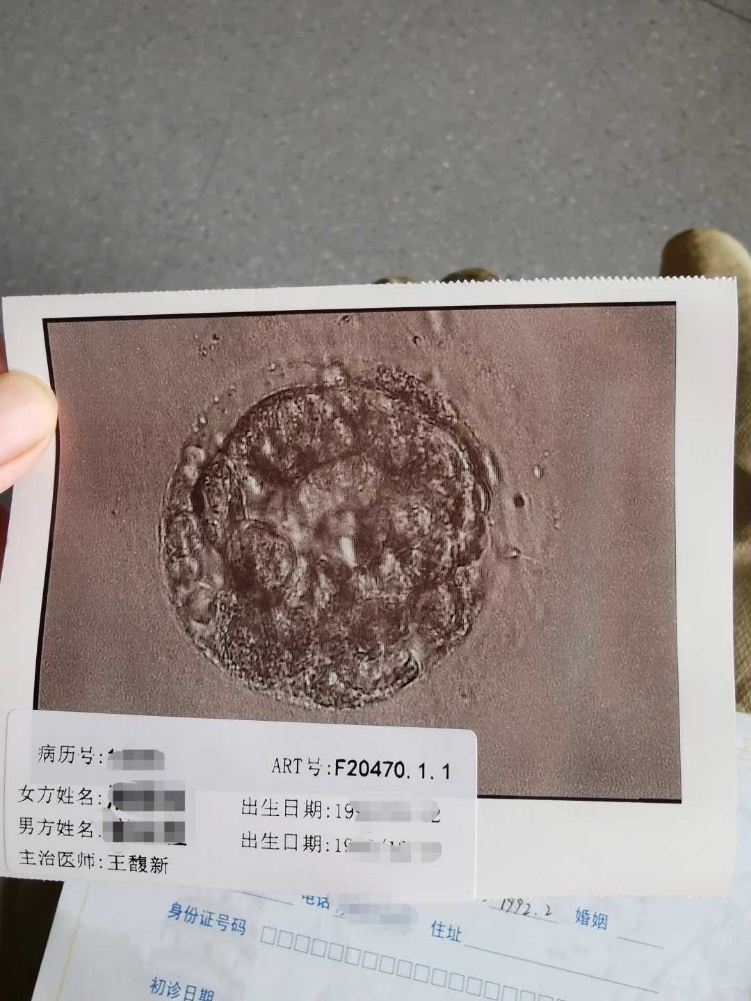 放生念什么贵州菜市场的鱼放生能不能活【网络放生】