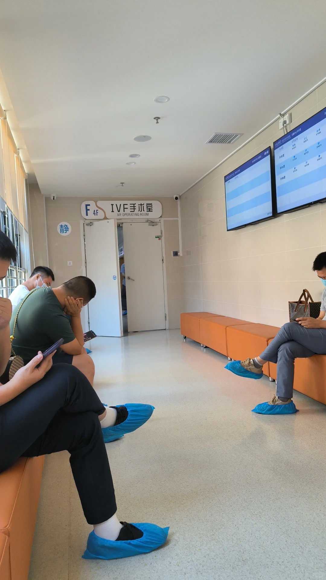 杭州放生田鸡真的有感应吗（杭州什么时候放生）