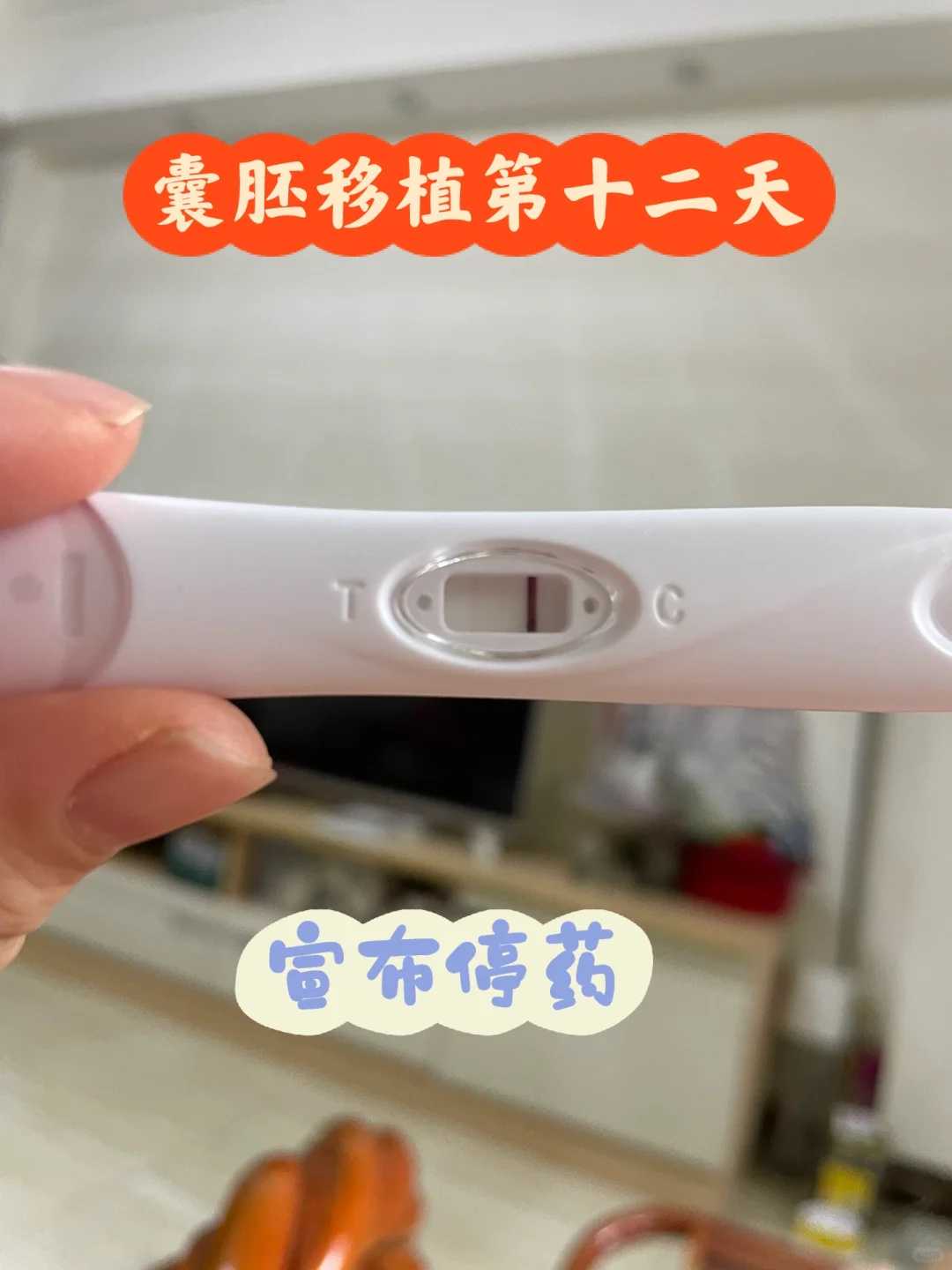 放生简单仪轨和回向给父母，十步法（功德变千亿倍）——简单又殊胜的放生仪