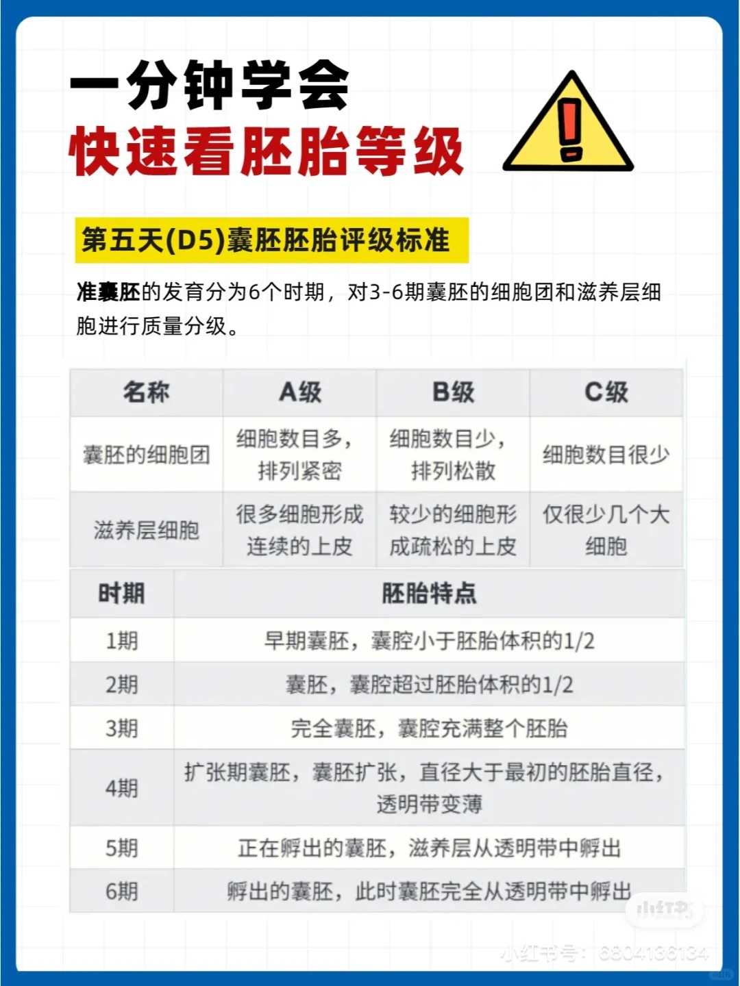 珠海初一放生鱼,珠海放生草龟比较好的地方,珠海哪里放生最好