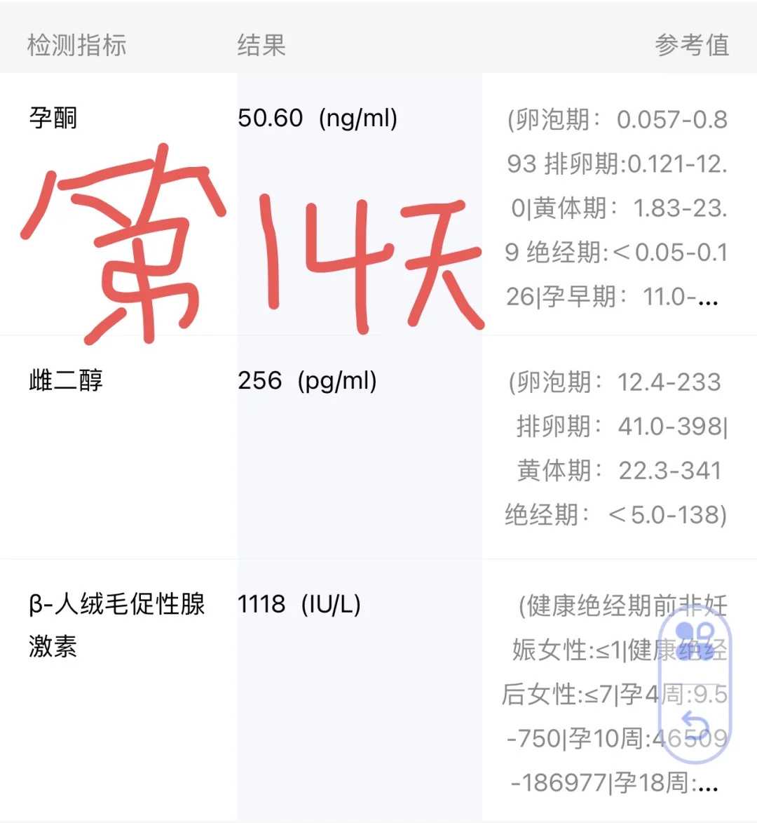 西宁放生改运实例,西宁放生消业障吗,西宁放生塘角鱼代表什么意思