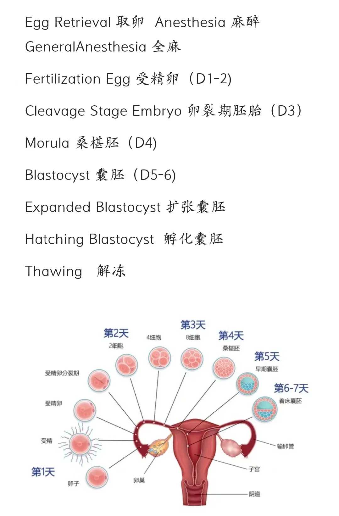 南京鳝鱼去哪里放生，南京市委常委、统战部部长李世贵调研南京天主教工作