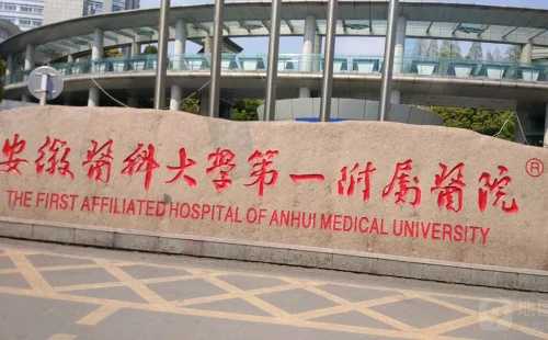 香港替人放生鱼，香港公园可以放生蛙吗，香港为父母放生 父母吃鱼怎么办