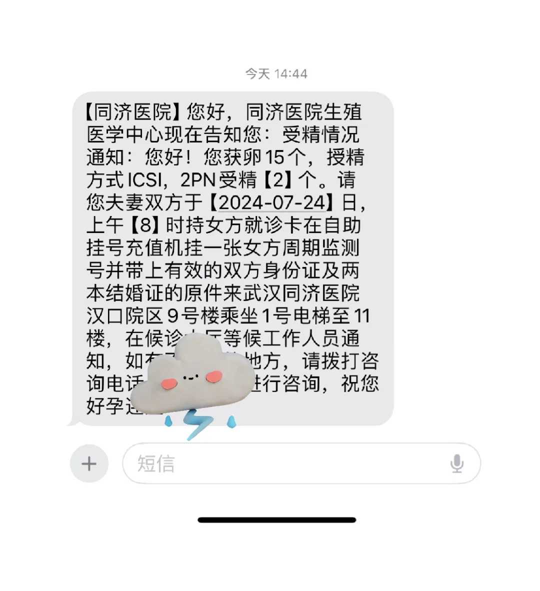 乌龟放生当天忌讳什么，结婚选黄道吉日禁忌结婚嫁娶择日最忌讳什么