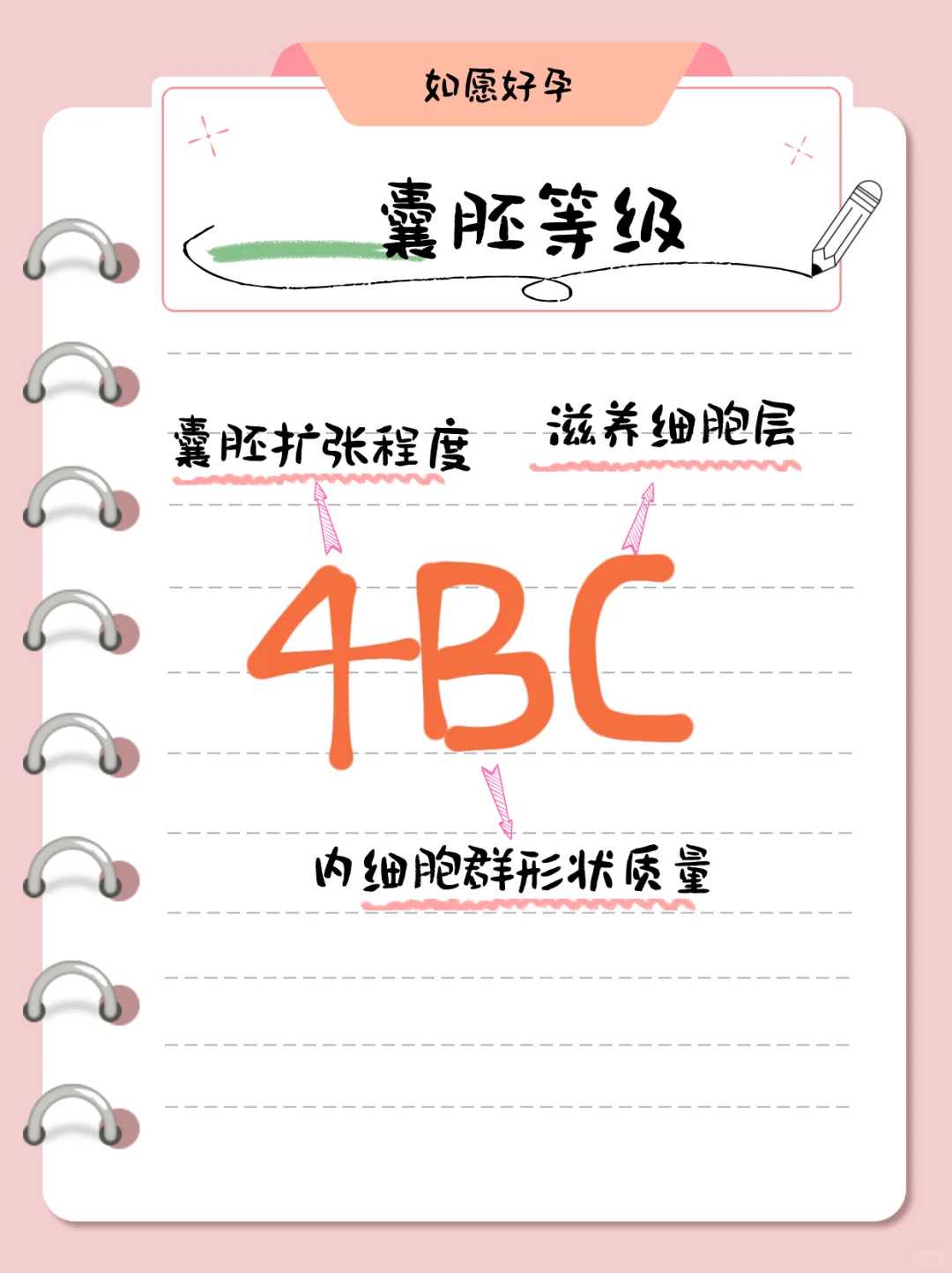 广东放生多少钱可以治病，广东哪里适合放生锦鲤，广东居士在家简单放生仪轨