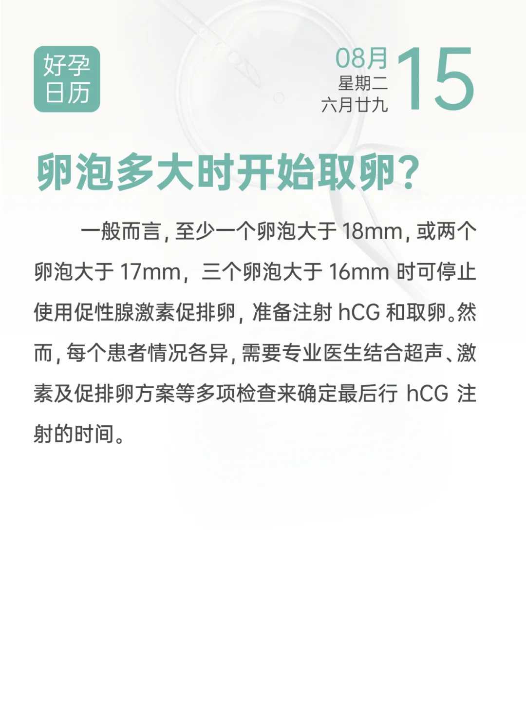 阜阳什么鸟能放生,阜阳放生松鼠在哪里,阜阳放生哪里合适
