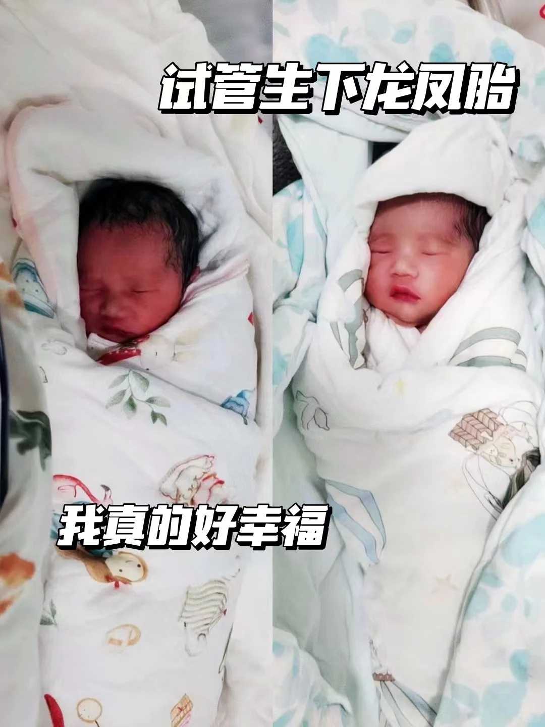 浙江哪里适合放生小鱼