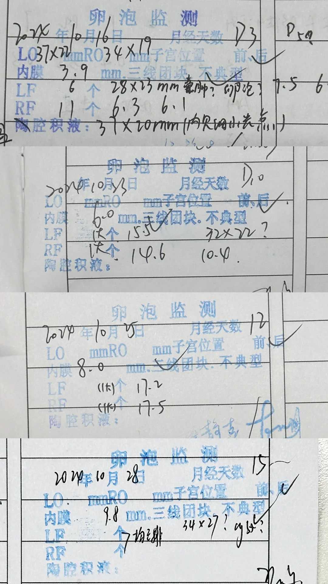 辽宁野生鸡去哪里放生，首届“道教中国文化论坛”在辽宁本溪隆重举行