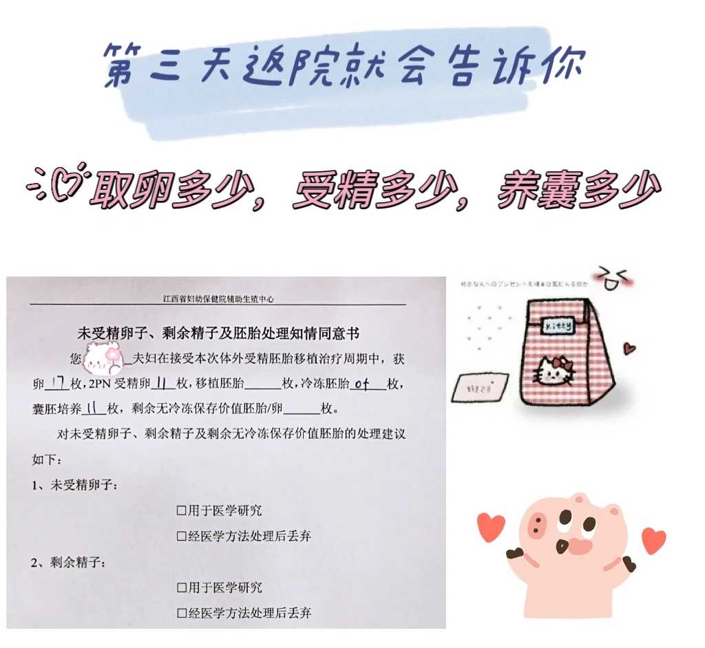 旱龟能放生到河里吗，妙祥法师：秦皇岛海洋放生条件很好，河里不安全，这种