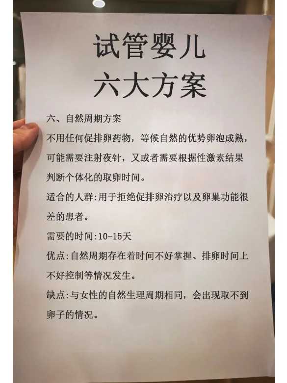 乌龟放生什么意思，正月哪天放生乌龟